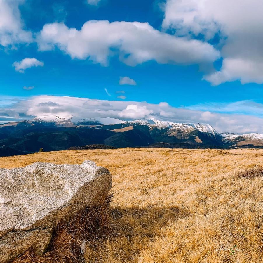 Pensiunea Belvedere Ranca Bagian luar foto